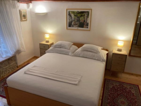 guesthouse Vicelic 1